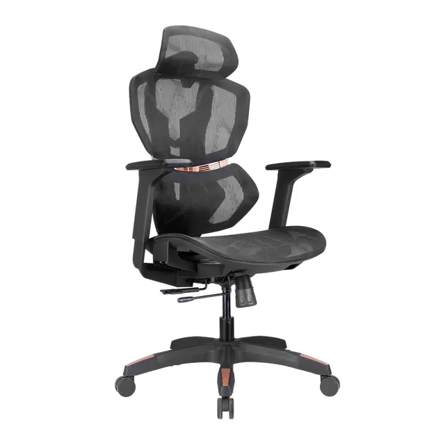 Lumivida Gaming/Office Chair Ergonomic Mesh Lumbar Support Adjustable Seat/Armrest CH09-8 Black
