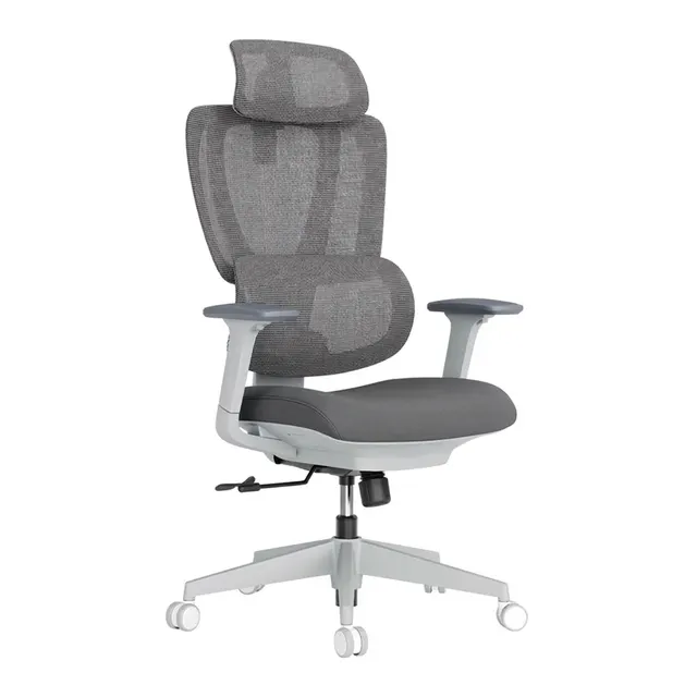 Lumivida Office Chair Ergonomic Mesh Lumbar Support Adjustable Seat/Armrest CH10-26 Grey