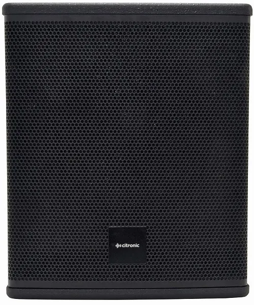 Citronic CASA-10BA Active Sub 300Wrms 178.120UK