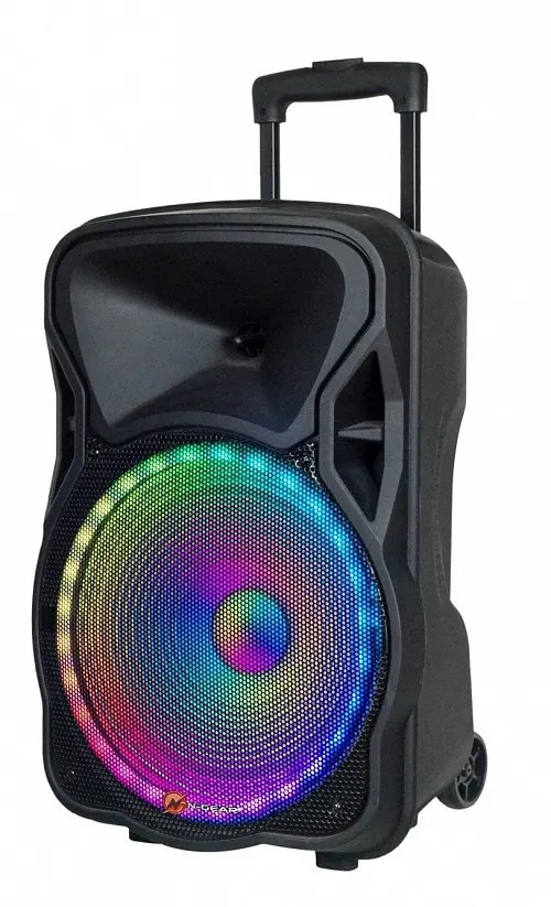 N-Gear FLASH1205 12'' Portable Speaker LED/USB/Mic 300W