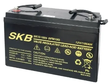 SKB Lead Acid Battery 12V 100AH SK12-100S