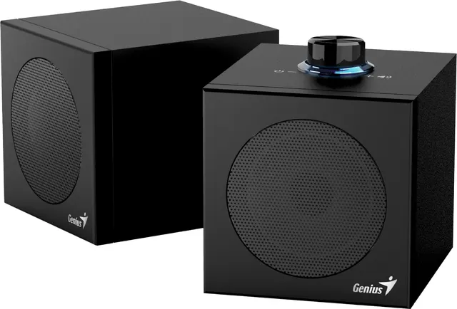 Genius PC Speakers 2.0 USB Audio 4W RMS USB-A+C SP-HF300U Black
