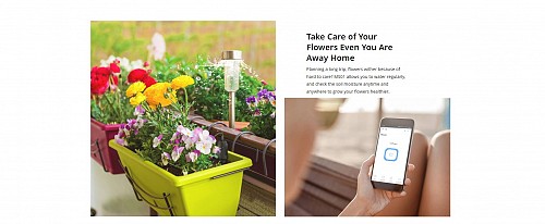 Sonoff MS01 Smart Soil Moisture Sensor