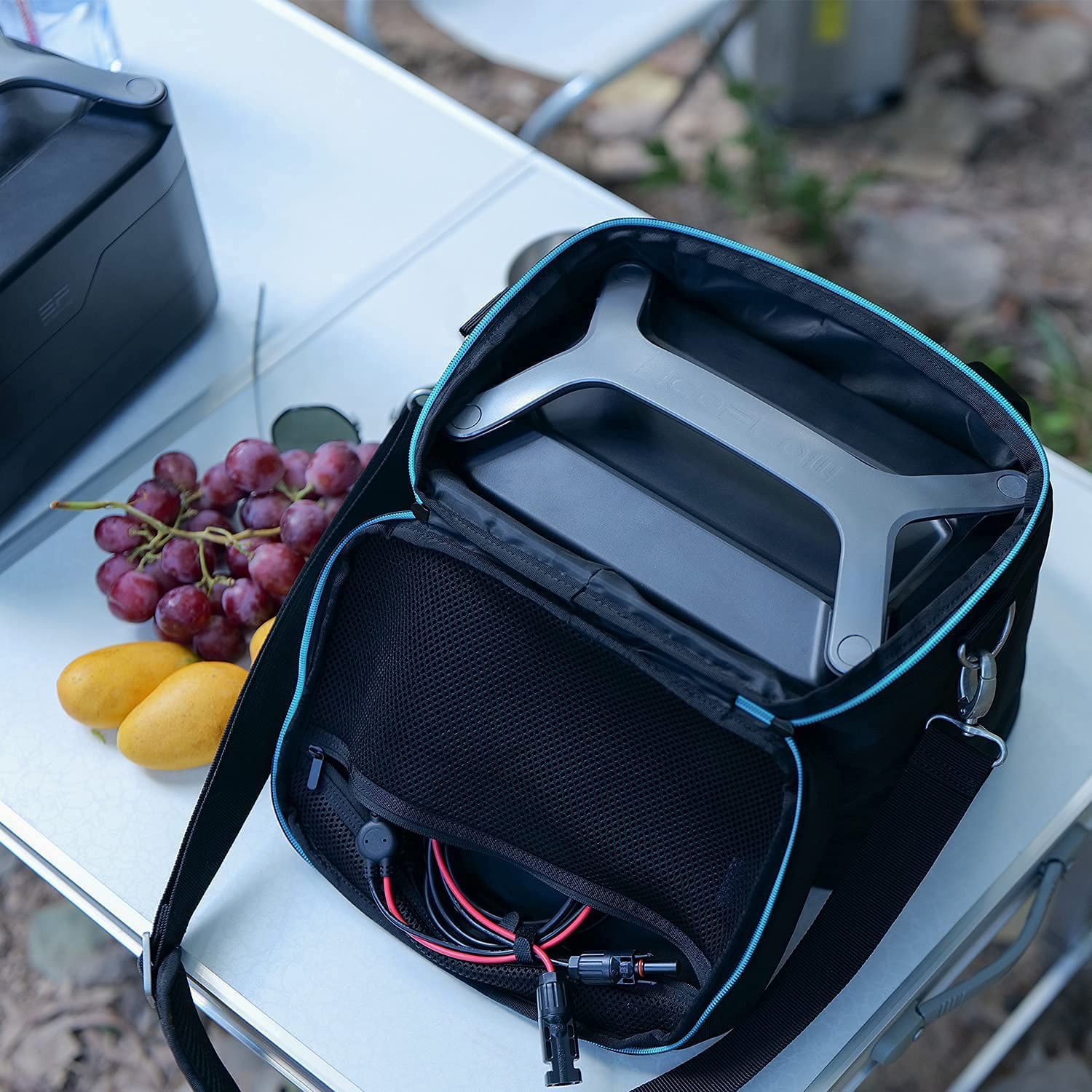 EcoFlow River Bag