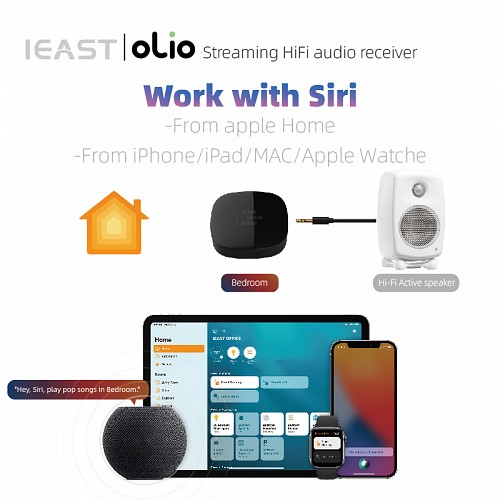 iEast Olio WIFI & Bluetooth Multiroom Audio Streamer Airplay2