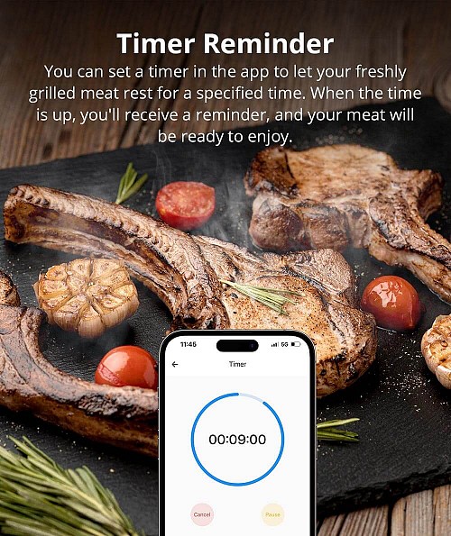 Sonoff WiFi BBQ Meat Thermometer BMT01