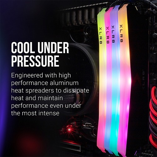 PNY XLR8 EPIC-X RGB DIMM DDR4 3200MHz 32GB (2X16GB) Desktop RAM
