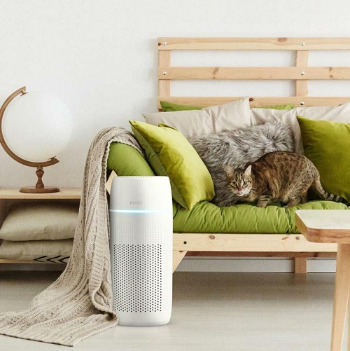 Homedics AP-PET35WT Totalclean Petplus 5in1 Air Purifier