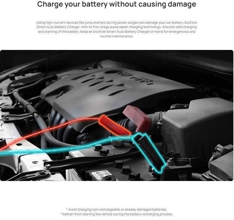 EcoFlow Smart 12V/24V Auto Battery Jump Starter, Maintainer & Charger (works with EcoFlow Power Stations)