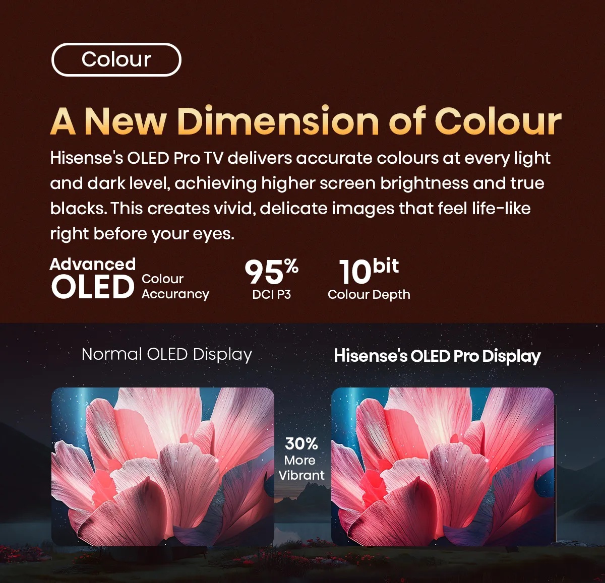 Hisense 65A85N 65'' 4K Smart OLED 120hz  TV