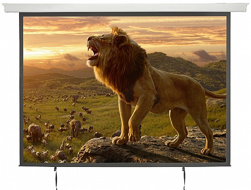AV:Link Electric Screen 4:3 120'' 2.4x1.8 952.323UK