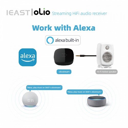 iEast Olio WIFI & Bluetooth Multiroom Audio Streamer Airplay2