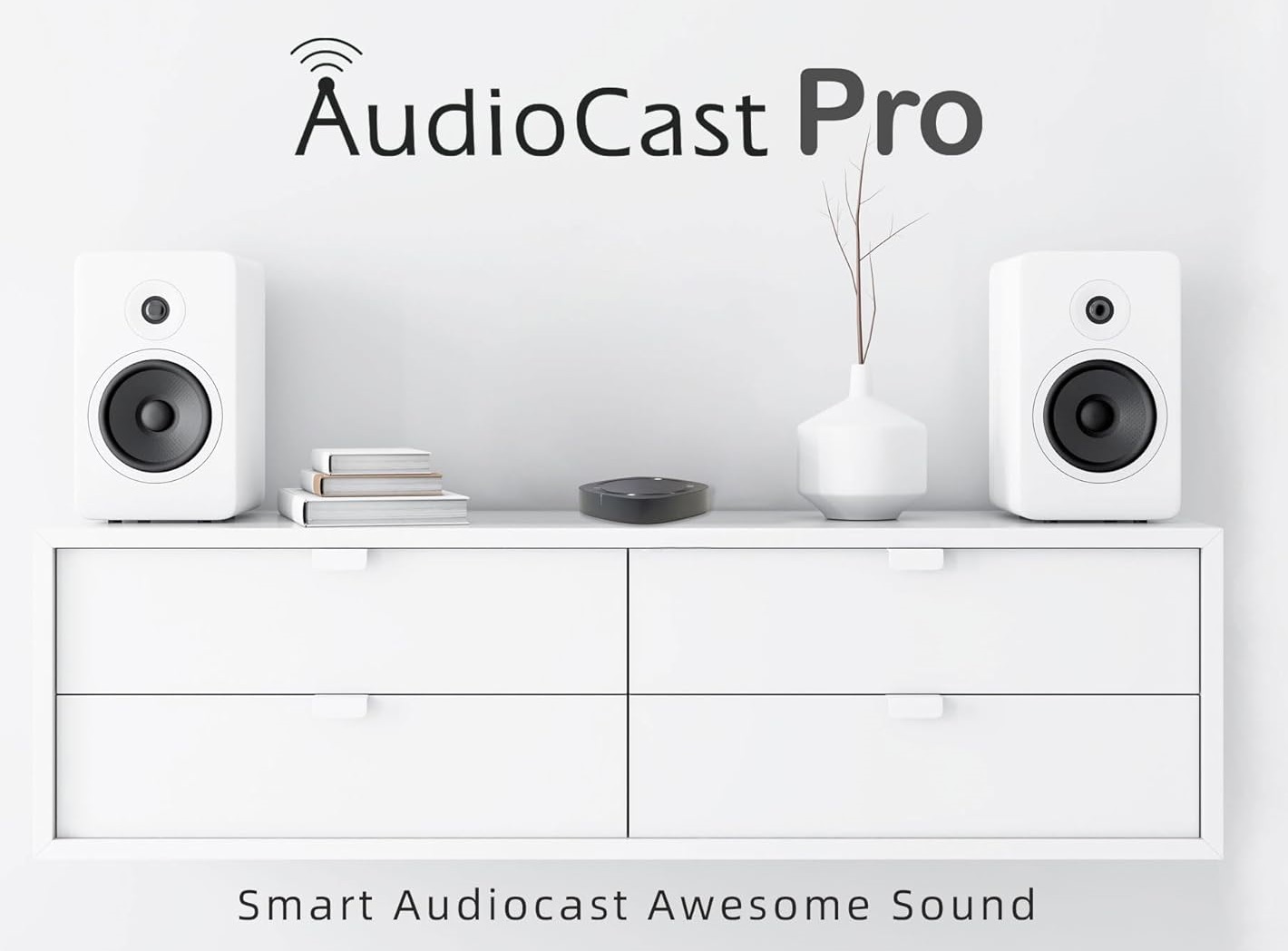 iEast Audiocast M20 WiFi+BT Multiroom Audio Receiver