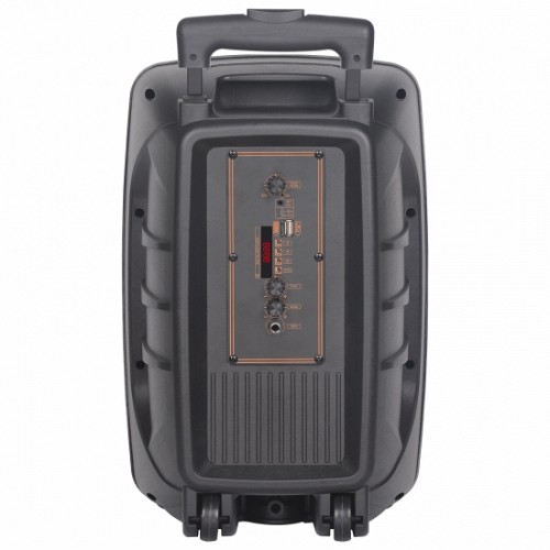 N-Gear FLASH860 8'' Portable Speaker LED/USB/BT