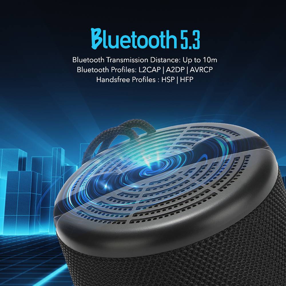 SonicGear AudioBox 2GO-Dock100 Portable BT/FM Speaker with Dock Black