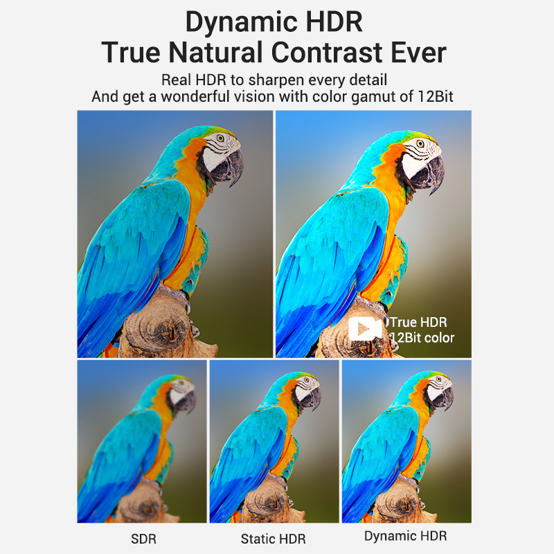 Vention HDMI Cable 2.1 8K Braided 2.0m AAUBH