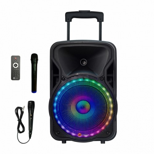 N-Gear FLASH860 8'' Portable Speaker LED/USB/BT