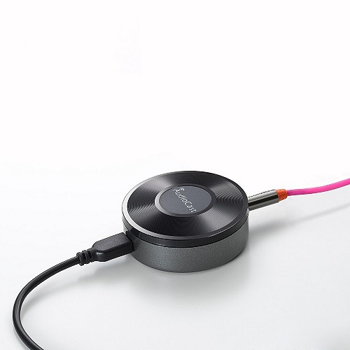 Audiocast M5 WIFI Multiroom Audio Receiver