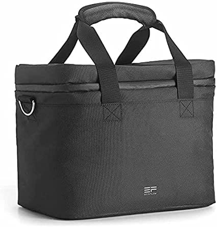 EcoFlow River Bag