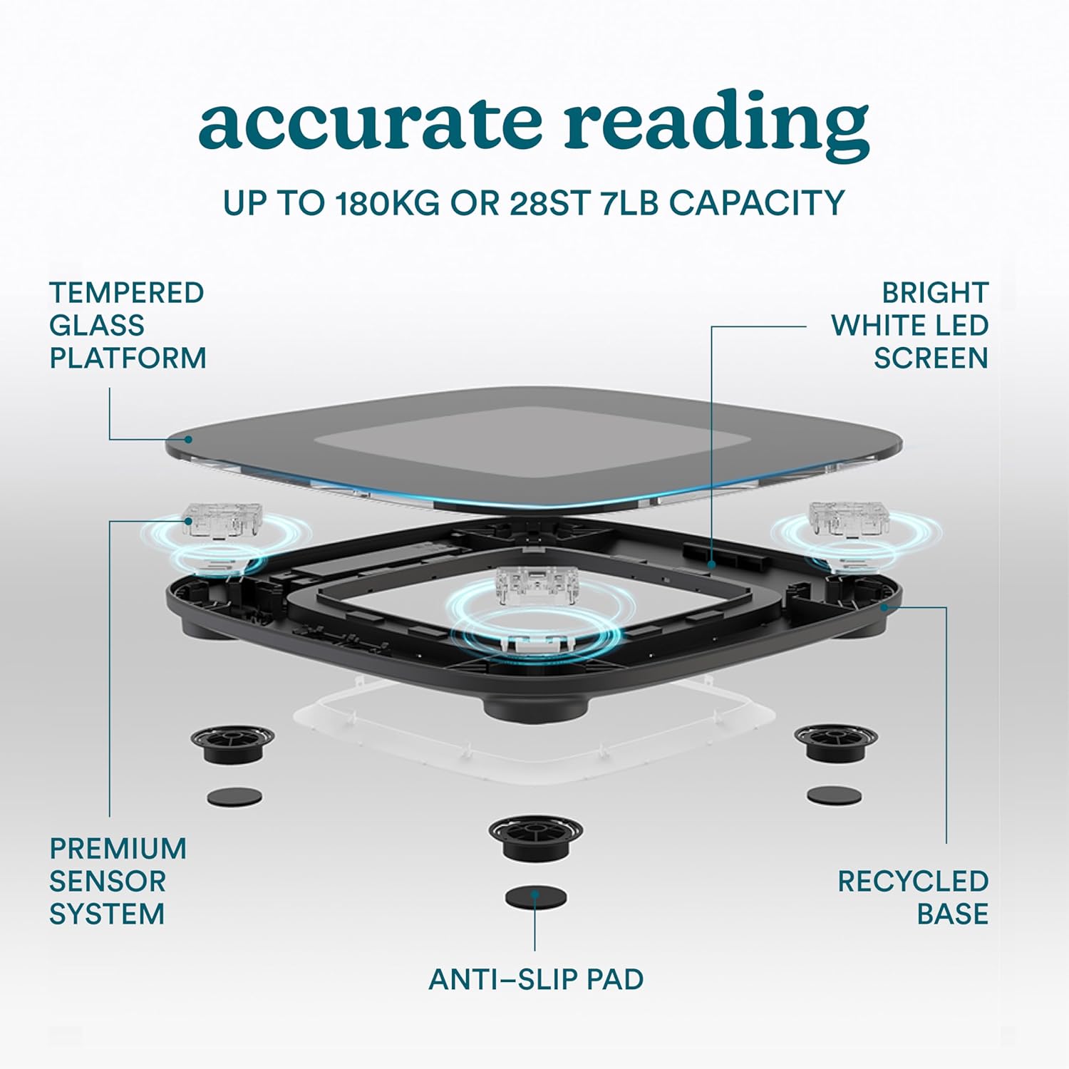 HoMedics Body Scale Glo Essential SCL-B100 Black