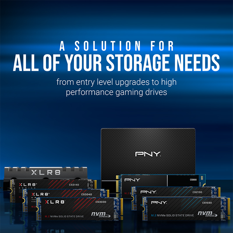 PNY SSD SATA III 1TB CS900