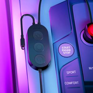 Govee Car Interior Lights