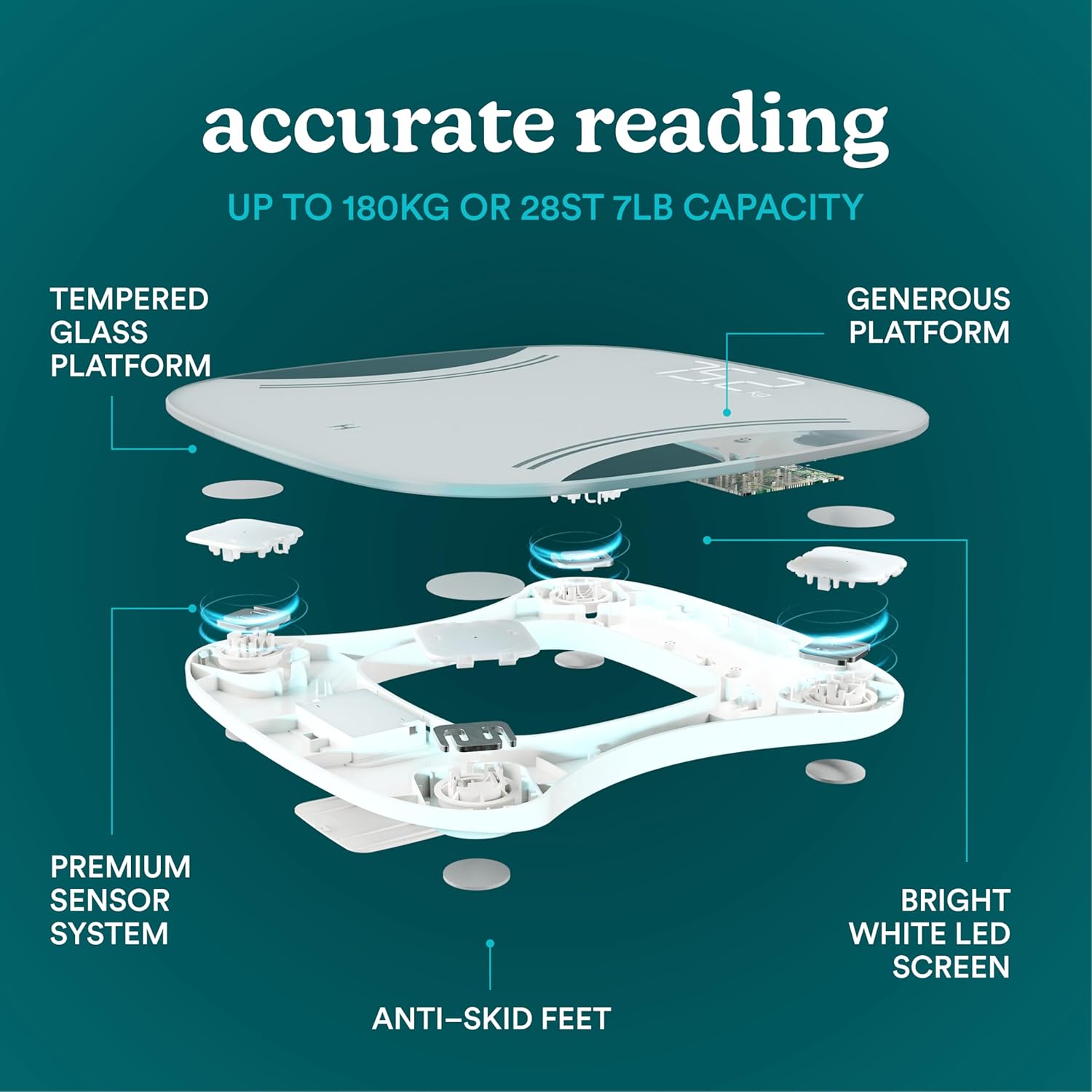 HoMedics Body Scale Essential with Body Comp Analyser SCL-BC145 BlackDuplicate