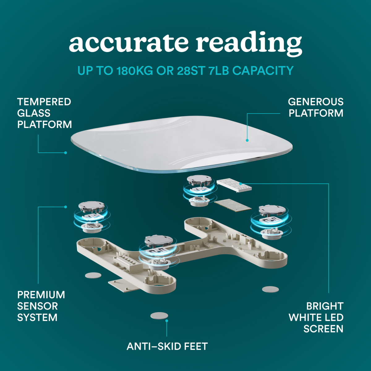 HoMedics Body Scale Essential SCL-B125 Grey