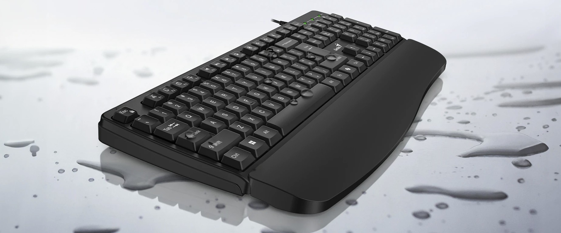 Genius Keyboard Wired AI with Palm Rest KB-123 English